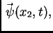 $\displaystyle \vec{\,\psi}(x_2,t),$